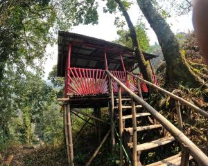 a tree house on the side of a hill at Sunnyside Campstay in Kurseong