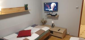 TV a/nebo společenská místnost v ubytování Apartament Sosnowiec