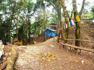 a group of flags hanging from a tree in a forest at Sunnyside Campstay in Kurseong