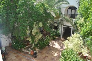 Zahrada ubytování Hotel de charme et SPA Dar El Bhar