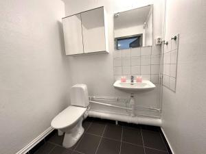 La salle de bains est pourvue de toilettes et d'un lavabo. dans l'établissement Penthouse In Vasastaden, à Göteborg
