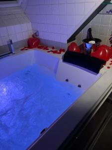 a bath tub filled with blue water in a bathroom at Balnéo, Lumineux, Confort in Colmar