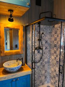 een badkamer met een wastafel en een douche bij Pension U Stříbrného Jelena - Tiny House in Cheb