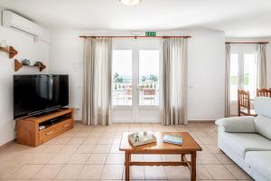 蘇昂博的住宿－Villa Terra，带沙发和电视的客厅