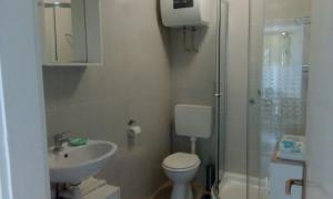 Kúpeľňa v ubytovaní Apartmani Križanac + 12 fotografií