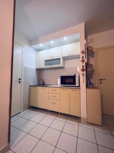 Virtuvė arba virtuvėlė apgyvendinimo įstaigoje Apartment Babin do