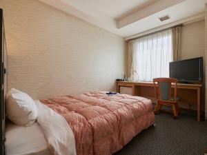 Televiisor ja/või meelelahutuskeskus majutusasutuses Gamagori Hotel