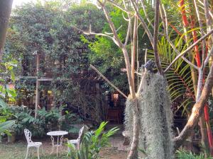 un jardín con mesa, sillas y árboles en Banban Nannan Library and Guesthome, en Nan