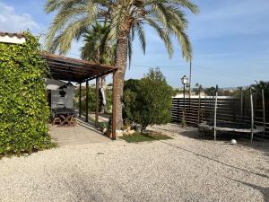 une maison avec un palmier et un grill dans l'établissement Chalet privado, à San Juan de Alicante