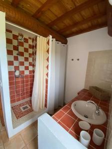 ein Bad mit einem Waschbecken, einer Dusche und einem WC in der Unterkunft Le Mas Gabantelye in Saint-Paulet-de-Caisson