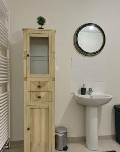 uma casa de banho com um lavatório e um espelho em Le Gîte de la Forêt - Montmacq em Thourotte