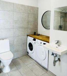 ein Badezimmer mit einer Waschmaschine und einem Waschbecken in der Unterkunft Fisk Club Cottages in Suðureyri