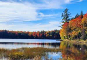 un lago en medio de un bosque con follaje de otoño en 4 BDRM - Hot Tub - Fire Pit, en Old Forge