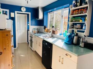 a kitchen with blue walls and a counter top at Dory Cottage - Chesil Beach View in Castletown