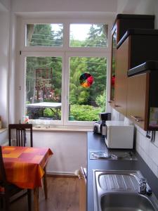 シールケにあるHeine Apartment-Friedegerns Fewoの窓とテーブルが前に備わるキッチン