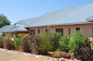 een huis met een metalen dak en planten bij Holale Hotel in Moyale