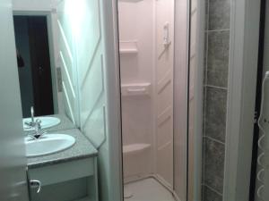 La salle de bains est pourvue d'une douche et d'un lavabo. dans l'établissement Hotel Restaurant Robichon, à Loray