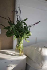 un vaso pieno di piante che poggiano su un water di b&b cascina la cinciallegra a Oggiono