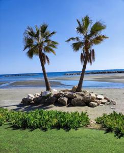 歐羅克里尼的住宿－Serenity House，海滩上的两棵棕榈树和岩石