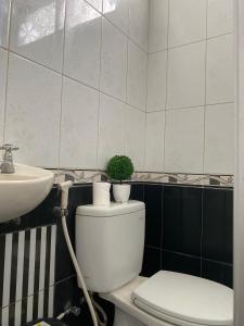 ein Badezimmer mit einem WC, einem Waschbecken und einer Pflanze in der Unterkunft Zzz Ijen Hostel in Banyuwangi