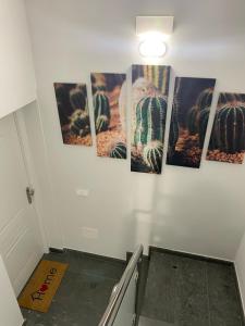 una pared con fotos de cactus en ella en Casa Bagacera "Cera", en Ingenio