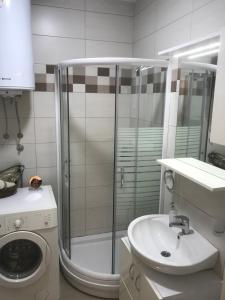 Vannituba majutusasutuses Apartman Stojanovic R