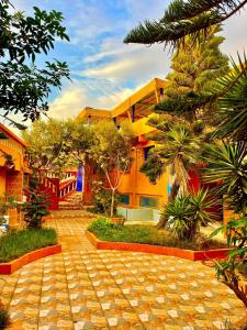 Vrt pred nastanitvijo Surf & Salsa Ocean House