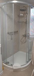 a shower with a glass door in a bathroom at Cranborne Guest Accommodation Exclusively for Adults in Torquay