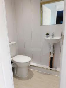 New & delightful 3 bed house in East Kilbride في غلاسكو: حمام مع مرحاض ومغسلة