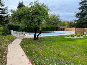 a tree in the grass next to a swimming pool at La longère citadine in Vesoul