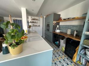 a kitchen with a potted plant on a counter at Appartement familial avec balcon et parking in Lyon