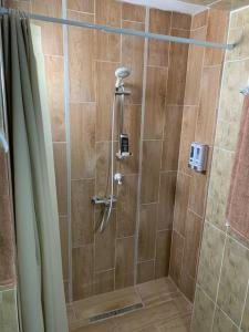 a shower with a glass door in a bathroom at Dar Midoun Villa with pool in center city in Midoun