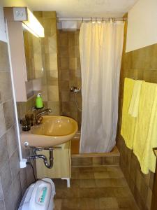 a bathroom with a sink and a shower at Ferienwohnung Inauen in Appenzell