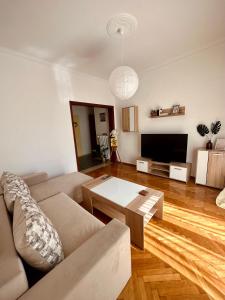 a living room with a couch and a tv at MaFi Apartment in Ioannina