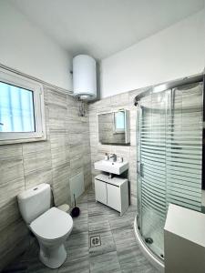 a bathroom with a toilet and a sink and a shower at MaFi Apartment in Ioannina