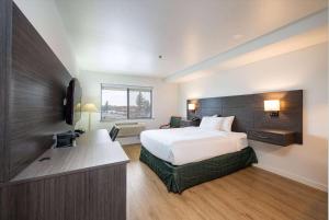 Postel nebo postele na pokoji v ubytování Baymont INN & Suites by Wyndham + 37 fotografií