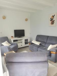 ein Wohnzimmer mit 2 blauen Sofas und einem TV in der Unterkunft Maison au calme Plessala Le Mené in Saint-Udy