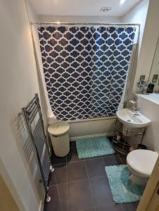 a bathroom with a shower with a toilet and a sink at Charming bedroom in a shared 2-Bedroom Flat in Southall, London (next to Ealing Hospital). in London