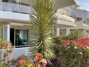 Ogród w obiekcie 21 - Très agréable rdc avec terrasse et parking
