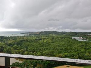 a view of the forest from the observation deck of a building at THE NOVE NUVASA KALANI TOWER in Nongsa +1 photo