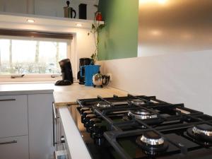 Gallery image of Farmhouse in Friesland near Frisian Waters in De Wilgen