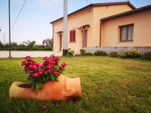 a flower pot in the grass in front of a house at Casa Vacanze Villa Annamaria in Scanzano