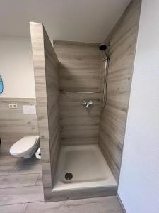 een badkamer met een douche en een toilet bij Kleine Ferienwohnung - Nähe Schweizergrenze in Hohentengen