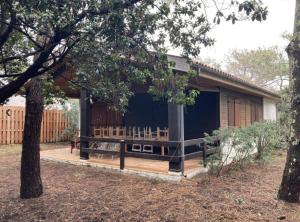 una veranda riparata di una casa con un albero di Cap Ferret Océan - Réf 52 a Lège-Cap-Ferret