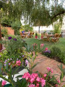 A garden outside Wein & Landhaus Willi Opitz
