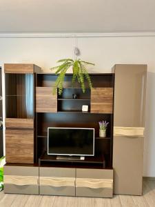 Gallery image of Garsonieră Trivale in Piteşti