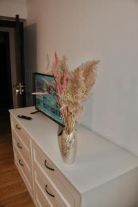 a vase on a dresser with a television on it at Eden Villa in Braşov