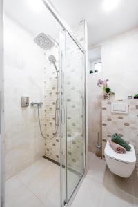 een badkamer met een douche en een toilet bij Blizko Stanice Apartment Košice Center in Košice