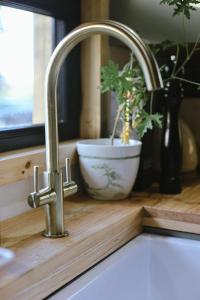 a kitchen sink with a faucet and a plant on a counter at Tempo Manor Cabins in Tempo