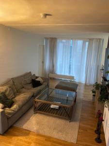 Ruang duduk di Modern apartment in Ørestad